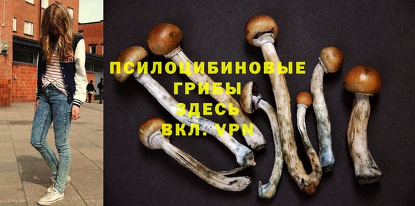 синтетический гашиш Медвежьегорск