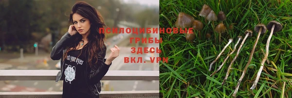 синтетический гашиш Медвежьегорск