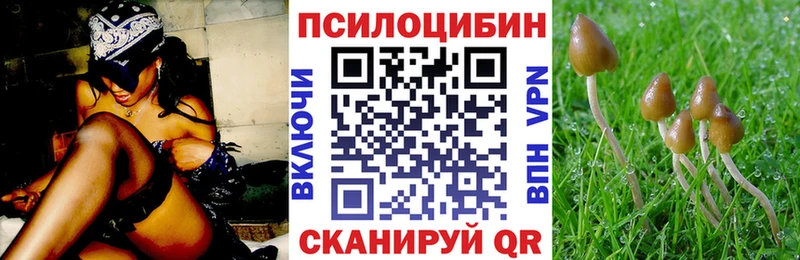 Галлюциногенные грибы Magic Shrooms  Великий Новгород 